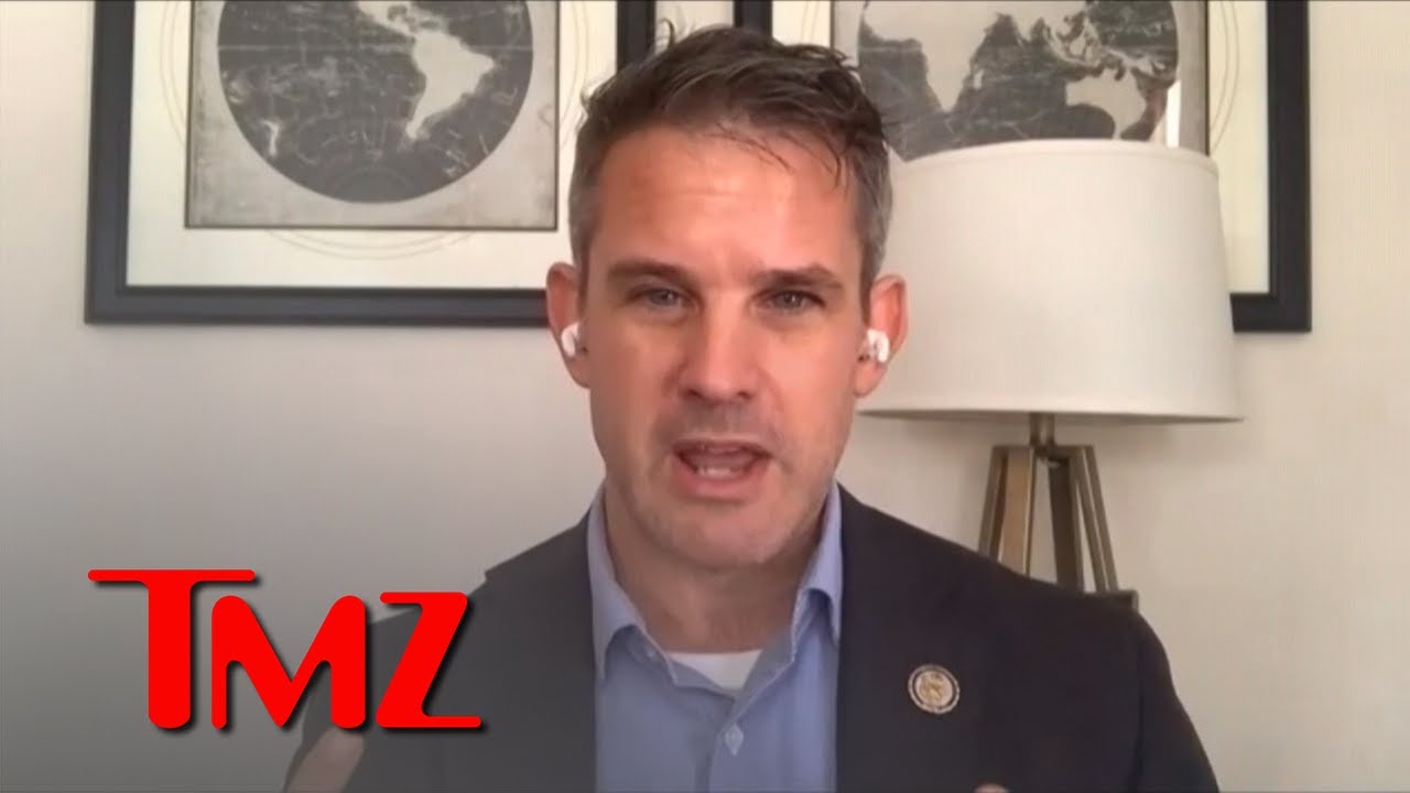 Rep. Adam Kinzinger Leads Fight to Purge Radical Right, Open to a ...