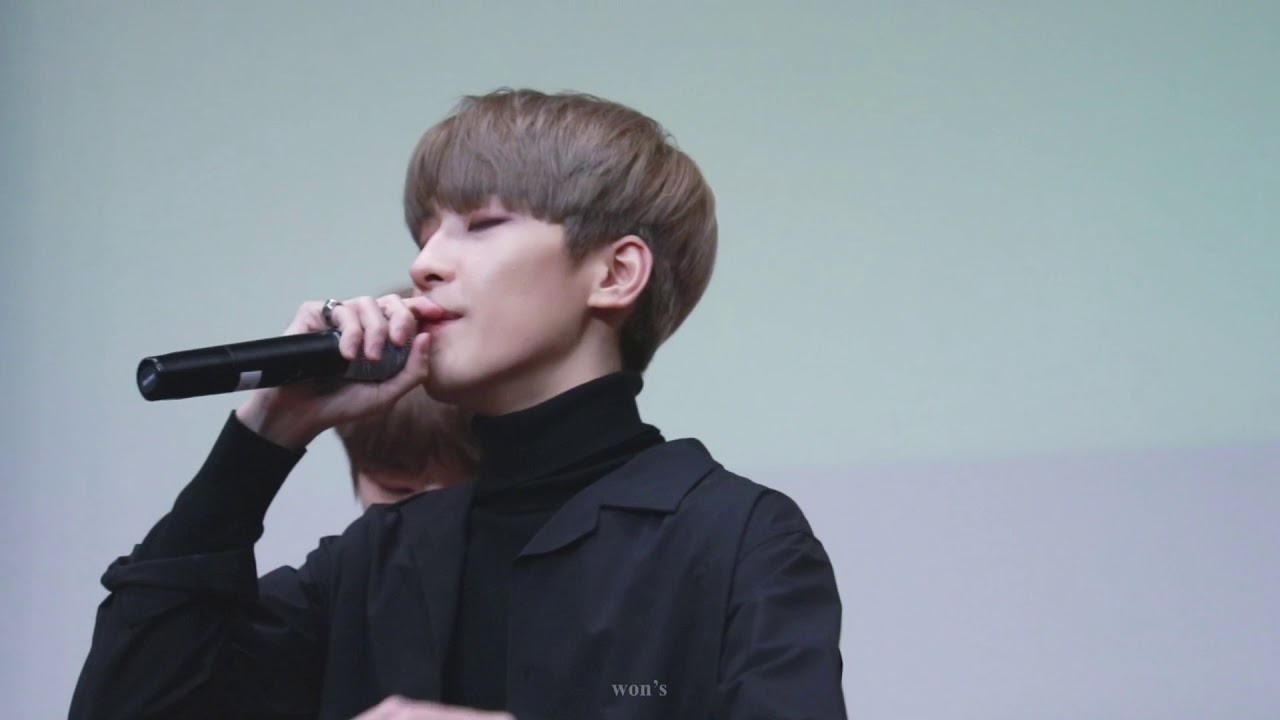 171210 인천팬싸 TRAUMA (WONWOO FOCUS)