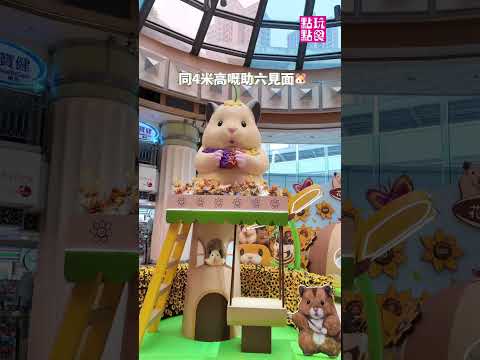 置富 Malls x 助六の日常花園綠野悠🐹🌼