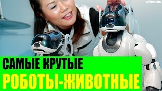 Самые крутые роботы-животные