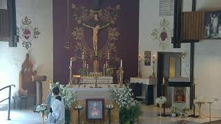 Join us for Adoration and Mass (5/17/26)