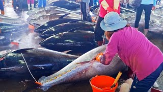 500km ChaseHuge Bluefin Tuna Catching, Bluefin Tuna Cutting Master, Tuna Belly Sushi, Sashimi