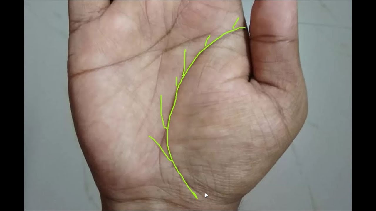 Multiple Progress Lines On Life Line YouTube Multiple Progress Lines On Life Line YouTube