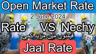 Birds price in karachi pakistan June 2, 2024 | Jaal rate update | Open market rate update