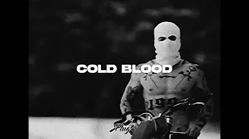 Hard Aggressive 808 Rap Type Beat - “Cold Blood” | Dark RapTrap Instrumental 2021