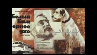 Буктрейлер Белый Бим Черное Ухо Буктрейлер Белый Бим Черное Ухо