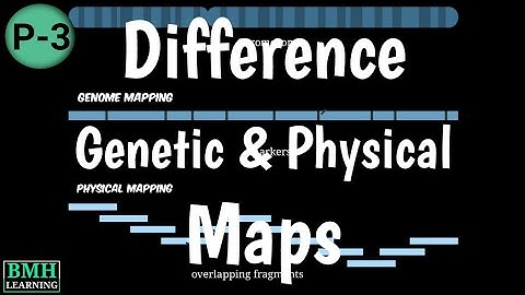 Difference Between Genetic Mapping & Physical Mapping | Genetic Mapping Vs Physical Mapping |