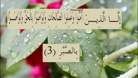 القران الكريم سورة العصر الاية 3