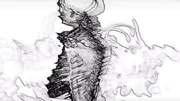 resolume generative video | skeleton