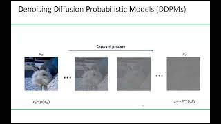 Lecture 4 - Diffusion Models Net Worth