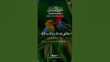 Surah Al Masad (Al-Lahab) | Powerful Tilawat & Urdu Translation | سورة المسد