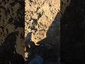 coin digging with deus xp #deus #metaldetecting #digging #coin #metalpix #deustrip
