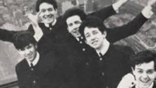 Watch Hollies Hey Whats Wrong With Me video