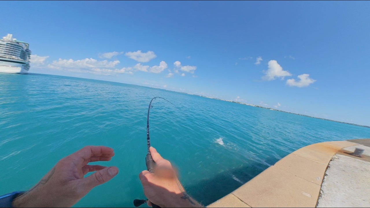 One of Those Sessions… Pure Action! | Bermuda Fishing