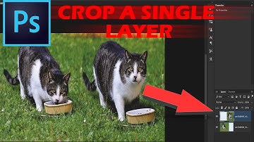 How To Crop a Single Layer in Photoshop No Masks, Straight To The Point Tutorial 1 Minute Photoshop