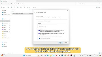 PNPKI STEP 3 - Installing Certificates in Windows Keystore