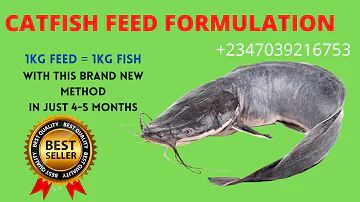 Catfish Feed Formulation