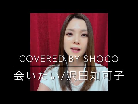【元音大生OLが歌ってみた】会いたい/沢田知可子(Covered by Shoco)【リクエスト】