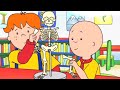 Caillou | Caillou en het Schoolproject | Nieuwe Hele Caillou Afleveringen | Nederlands Gesproken