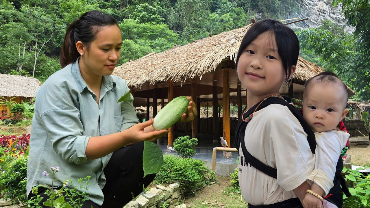 Cook a Pot Of Corn For The Pigs & Chickens To Enjoy - Harvest Cucumbers to sell at market.