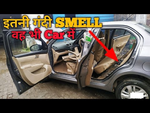 कार में चूहा कहां से आता है और कहां मिलता है। Where does the mouse in the car come from,