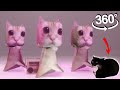360° VR El Gato  &amp; Maxwell Cat - Get Up