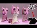 CRAZY Maxwell Cats That Will Get You Moving! 360°