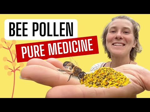 Benefits of Bee Pollen - 5 Reasons Why I Eat Raw Bee Pollen