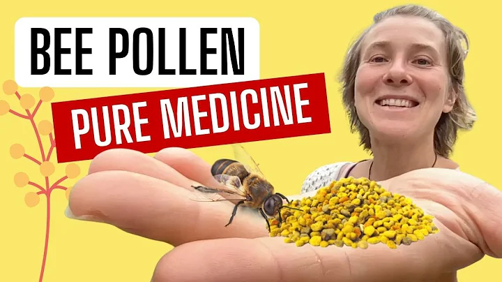 5 motivos para consumir pólen de abelha cru todos os dias