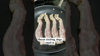Bacon Sizzling Dogs Love It