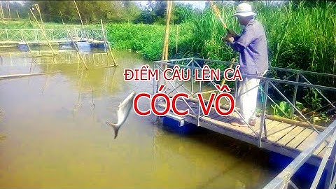 Phê Cần - Chia Sẻ Điểm Câu Cá Sông Tự Nhiên 10(Cá Ăn Như Đạn)|Lên 9 Loại Cá|Cồn Ấu Cần Thơ.