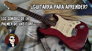 Guitarra para aprender? - Palmer Deluxe - YouTube