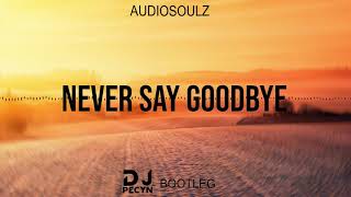 Audiosoulz - Never Say Goodbye (Pecyn Bootleg)