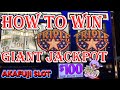 How i played until i won the giant jackpot triple stars 100 slot machine