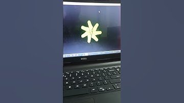 python turtle design shorts #ytshorts #programming #viral