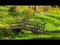 Peaceful Relaxing Instrumental Music, Meditation Soft Nature Music "Among the Fields" By Tim Janis