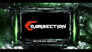 Coarsection - Forest of the Night