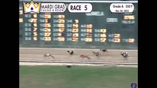 #6 Ab Hollywoodgold Tri-State 3/28/23 R5