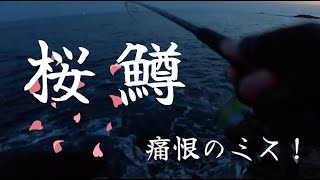 【サクラマス】日本海の磯で桜鱒を狙う！