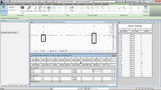 Revit Structure   17 Reinforcement Scheduling  03 Available Parameter