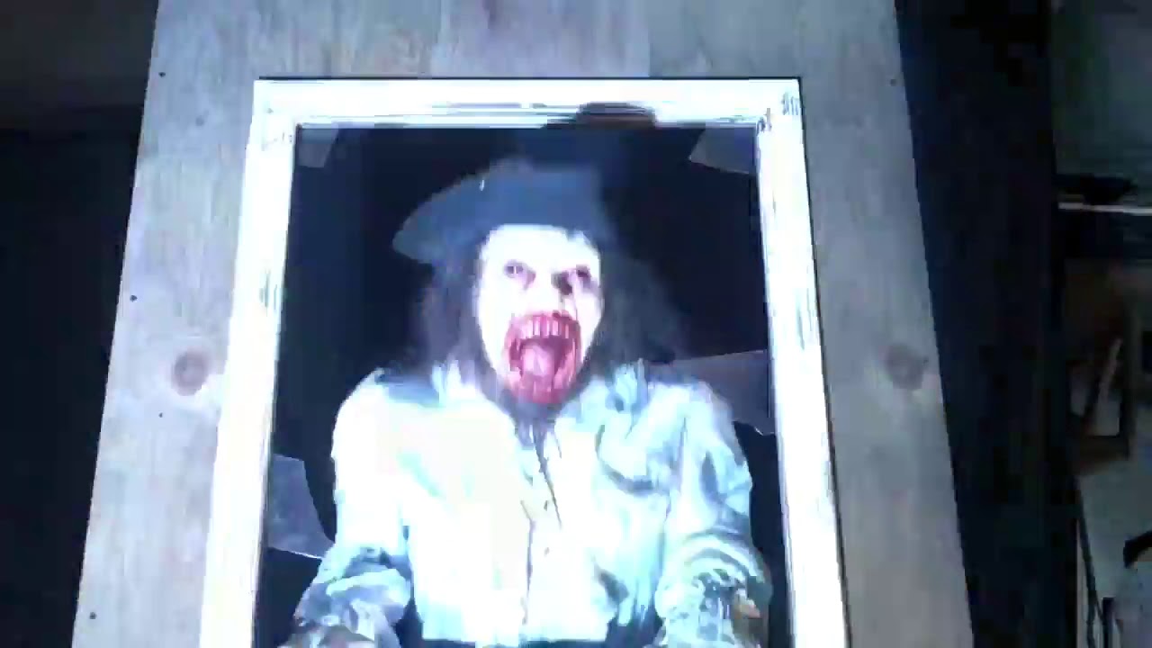 Window Pirate Surprise