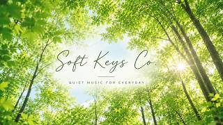 Piano Jazz BGM | 3 hours of piano jazz played in a cafe🌿Study · Work · Concentrate · Relax · Tr screenshot 3