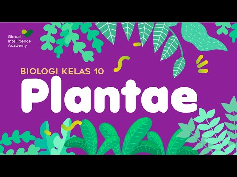 BIOLOGI Kelas 10 - Kingdom Plantae (Part 1) | GIA Academy