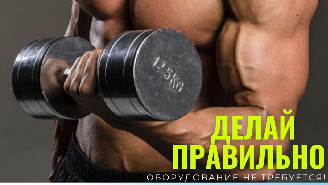 Как нарастить бицепс. Гантели. подъем гантели. гантели на бицепс. рука с гантелей.