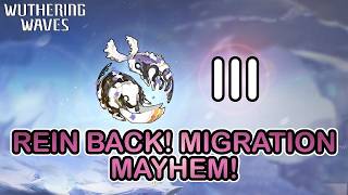 Rein Back! Migration Mathem! III - Wuthering Waves