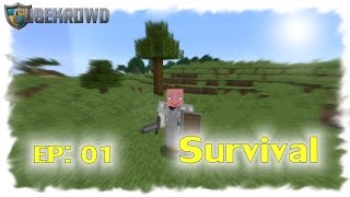 Cubekrowd Survival - EP01: The quest for home