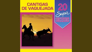 Vaqueiro Violeiro