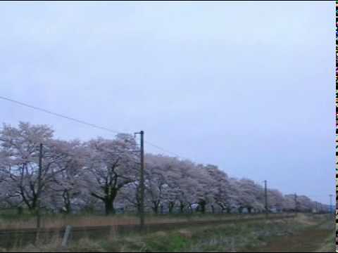 ２０１０年４月２２日　『カシオペア』　EF81 79，『北斗星』　EF81 95