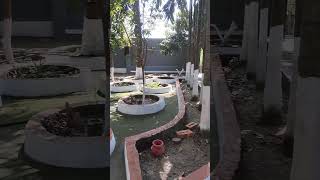 মনোরম পরিবেশ কিছুটা বিলাসিতা #shorts #A.P.Enterprise #hallorongmistri