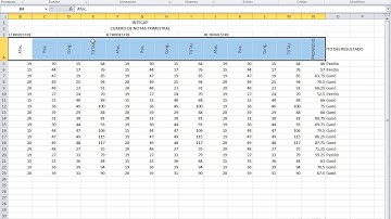 Formato de Alineación en Excel